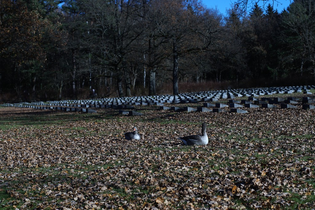 Italienischer Militärfriedhof München