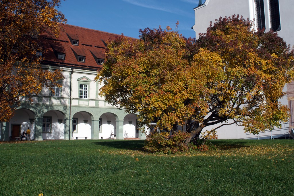 Kloster Benediktbeuren im Herbst